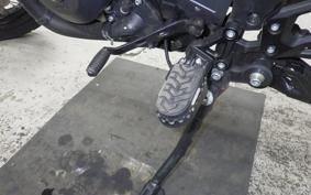 BENELLI TRX502X 2025