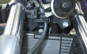 YAMAHA MT-25 RG43J
