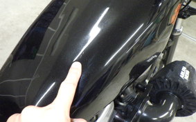 HARLEY XL1200X 2010