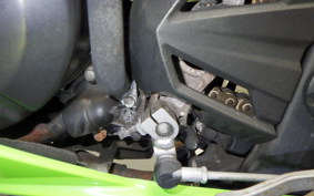 KAWASAKI NINJA 250 ABS 2025 EX250L