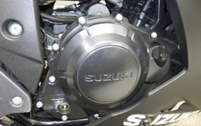 SUZUKI GSX250R 2025