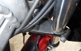 KAWASAKI ZZ-R250 EX250H