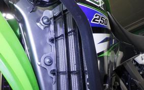KAWASAKI KLX250 Gen.2 2021 LX250S