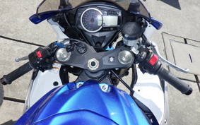 SUZUKI GSX-R1000 2009