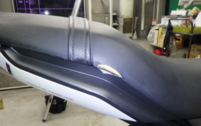 TRIUMPH TRIDENT 660 2024
