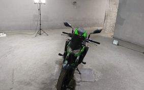 KAWASAKI Z250 EX250Y
