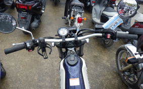 YAMAHA TRICKER DG10J