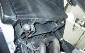 KAWASAKI Z250 2021 ER250C