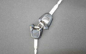 HONDA PCX125 2007 JF56