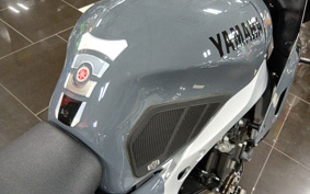 YAMAHA XSR900 GP 2024 RN96J