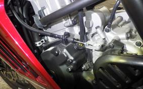 OTHER +FBﾓﾝﾃﾞｨｱﾙﾊﾟｶﾞｰﾆ300