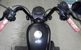 HARLEY XL883N 2013