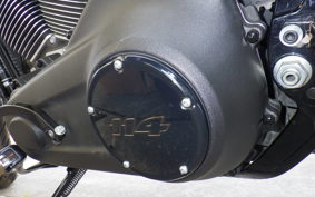 HARLEY FXLRS1860 2021