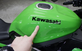 KAWASAKI ZX-25R 2024 ZX250E