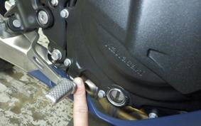 KAWASAKI NINJA 250 2 2025 EX250Y