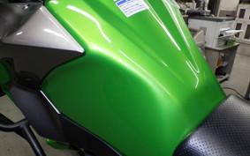 KAWASAKI VERSYS 250 A LE250D