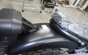 HONDA CL250-2 2019 MC57