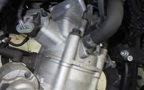 OTHER UNREGISTERED MODEL by BDS125