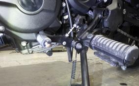 KAWASAKI ELIMINATOR400-3SE 2023 EL400A