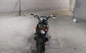 HONDA ZUMAR AF58