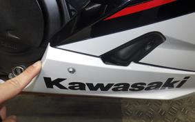 KAWASAKI NINJA 400 2022 EX400G