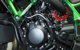 KAWASAKI ZH2 SE 2022