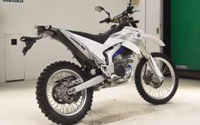 YAMAHA WR250R DG15J