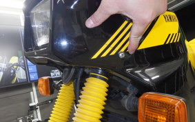 YAMAHA TDR250 2021 2YK