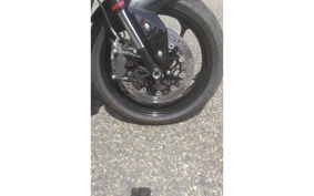 TRIUMPH TIGER 800 2026 L25P10