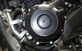 SUZUKI Vｽﾄﾛｰﾑ250 2025