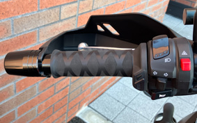 SUZUKI STROM 250ABS DS11A