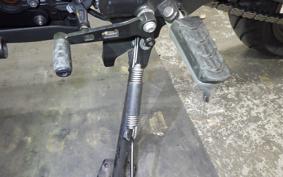 BMW G310R 2024