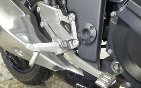 KAWASAKI NINJA 250 EX250L