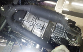 HONDA MONKEY 125 2026 JB03