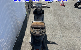 HONDA DIO CHESTER
