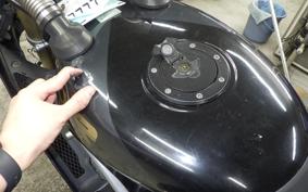 KAWASAKI ZXR250 ZX250A