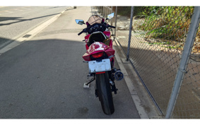 KAWASAKI NINJA 250R EX250K