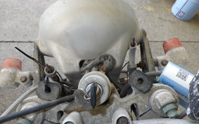 YAMAHA RZ250R 2010 29L