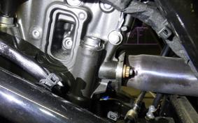 BMW G310GS 2024