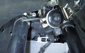 YAMAHA YZF-R25 A 2023 RG74J