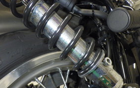 KAWASAKI W800 2024 EJ800E