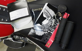 HARLEY FLI1870 2024
