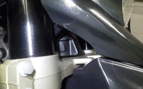 YAMAHA WR250X 2024 DG15J