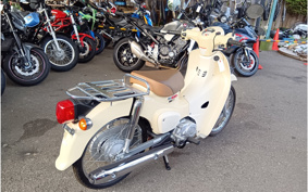 HONDA SUPER CUB50 AA09