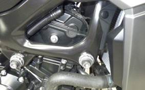 BMW F900R 2021