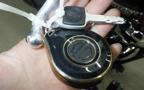 HARLEY FXBRS1870 2020