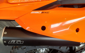 KTM 250 EXC GSA20