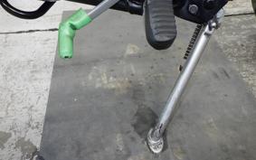 KAWASAKI KLX250D TRACKER X 2017 LX250V