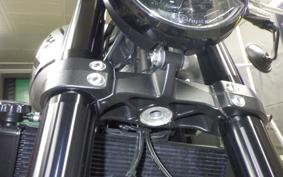 TRIUMPH TRIDENT 660 2024