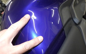 TRIUMPH TIGER 800 2015